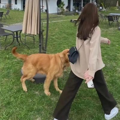 公主复仇者2：战士再起